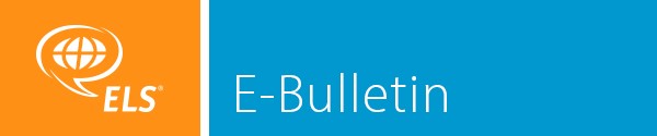 e-bulletin header